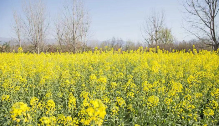 2022年是建党多少年了【现在建党多少年了】