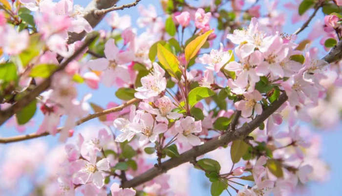 2022年是建党多少年了【现在建党多少年了】