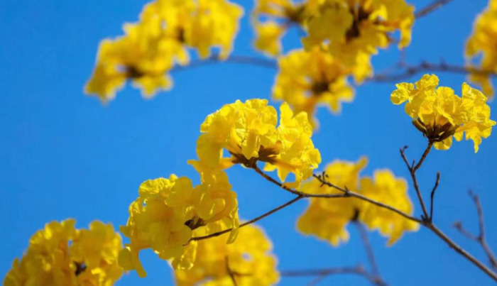 2022年是建党多少年了【现在建党多少年了】