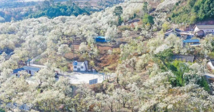 2022年是建党多少年了【现在建党多少年了】