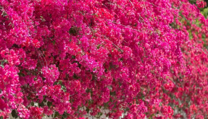 2022年是建党多少年了【现在建党多少年了】