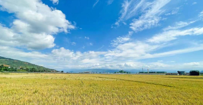 2022年是建党多少年了【现在建党多少年了】