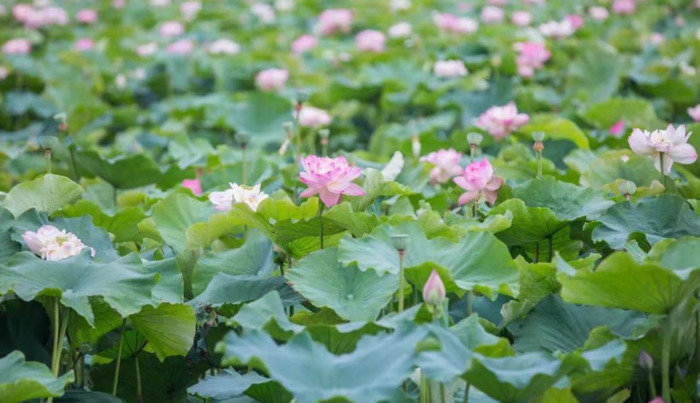 2022年是建党多少年了【现在建党多少年了】