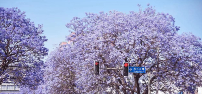 2022年是建党多少年了【现在建党多少年了】