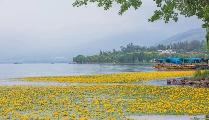 2022年是建党多少年了【现在建党多少年了】