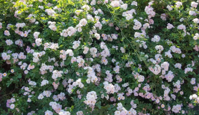 2022年是建党多少年了【现在建党多少年了】