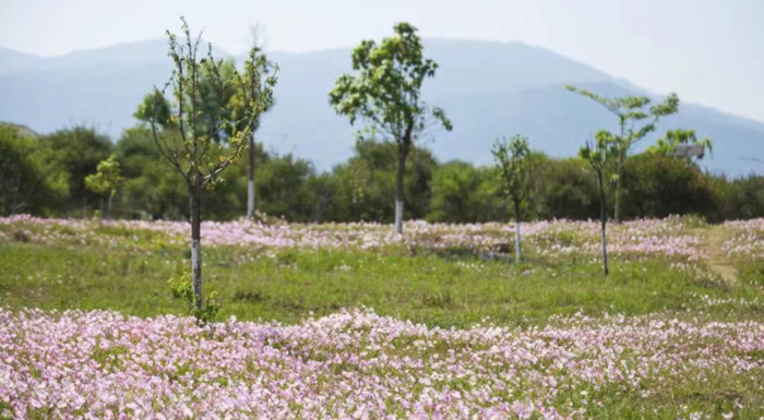 2022年是建党多少年了【现在建党多少年了】