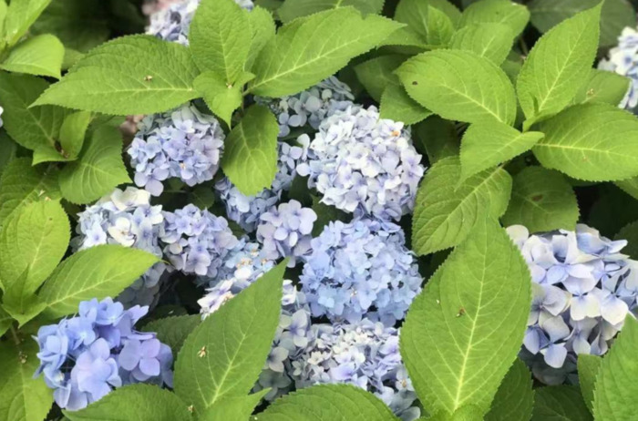 2022年是建党多少年了【现在建党多少年了】