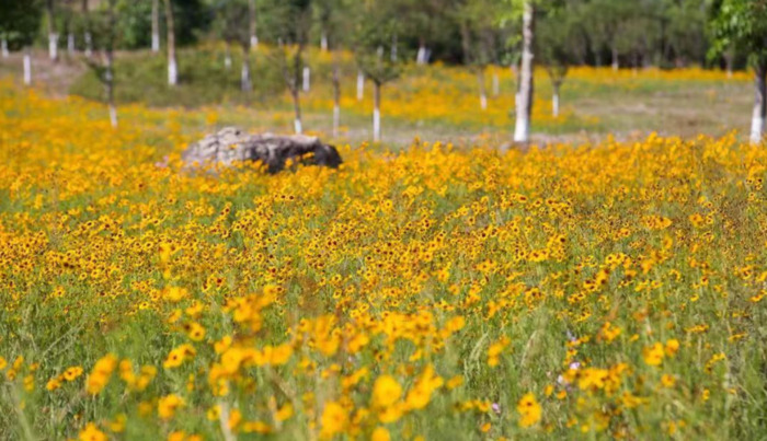 2022年是建党多少年了【现在建党多少年了】