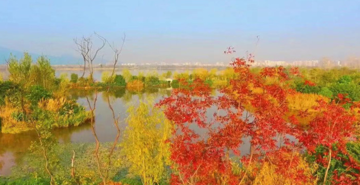 2022年是建党多少年了【现在建党多少年了】