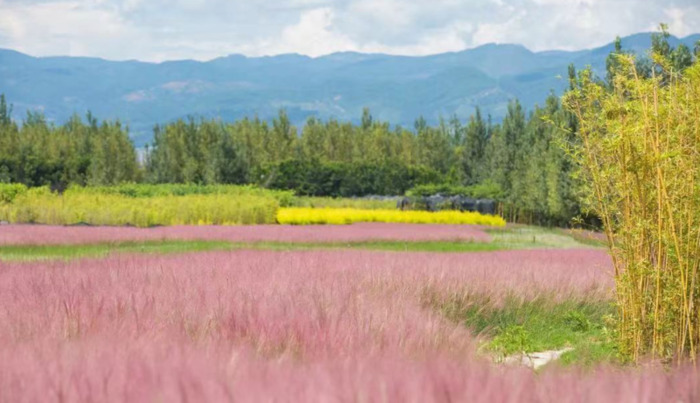 2022年是建党多少年了【现在建党多少年了】