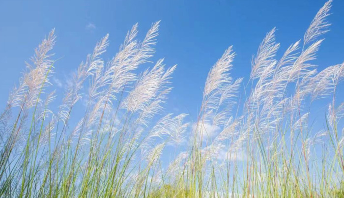 2022年是建党多少年了【现在建党多少年了】