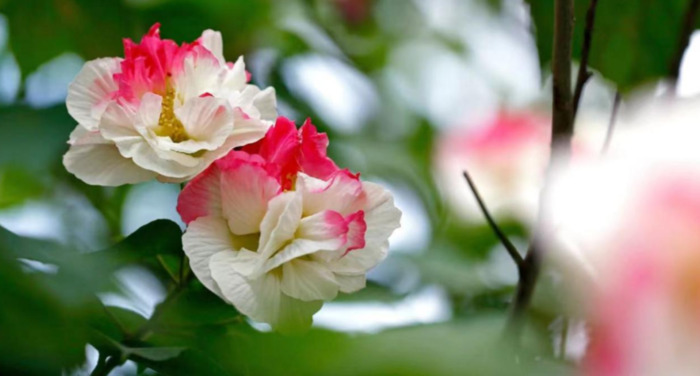 2022年是建党多少年了【现在建党多少年了】