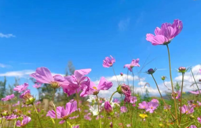 2022年是建党多少年了【现在建党多少年了】