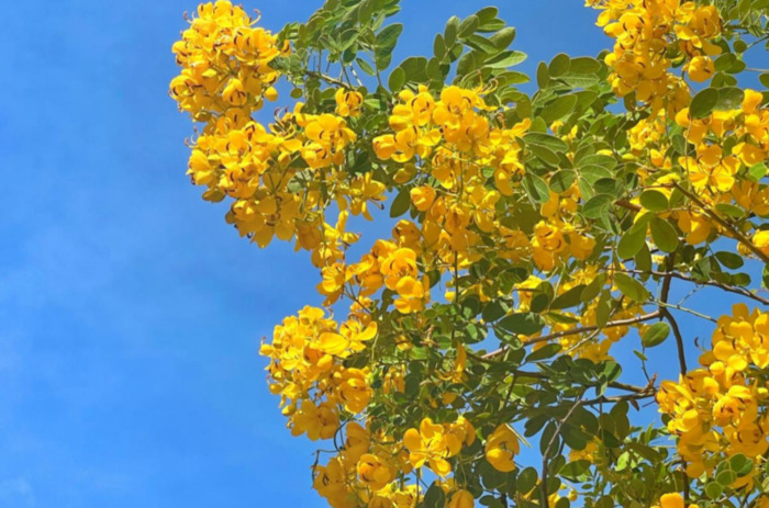 2022年是建党多少年了【现在建党多少年了】