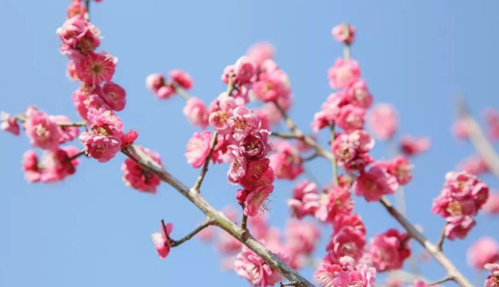 2022年是建党多少年了【现在建党多少年了】