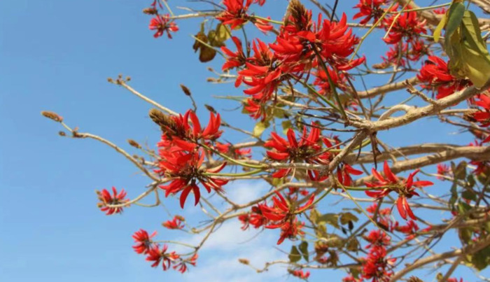 2022年是建党多少年了【现在建党多少年了】