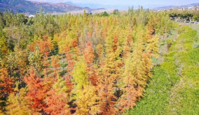 2022年是建党多少年了【现在建党多少年了】