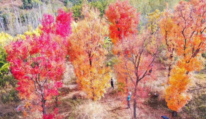 2022年是建党多少年了【现在建党多少年了】