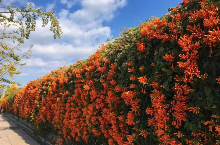 2022年是建党多少年了【现在建党多少年了】