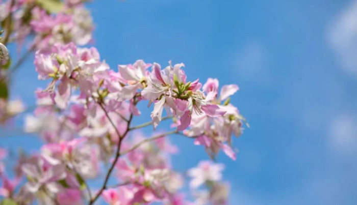 2022年是建党多少年了【现在建党多少年了】