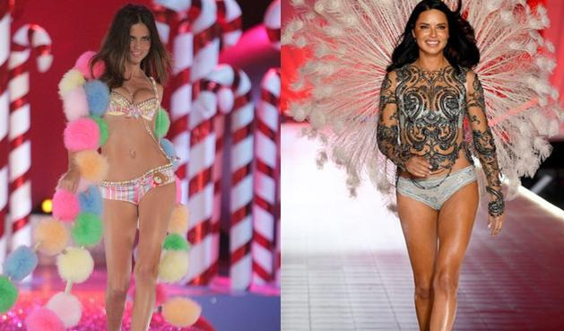 维多利亚的秘密玫瑰的资料【维多利亚的秘密玫瑰芳华】