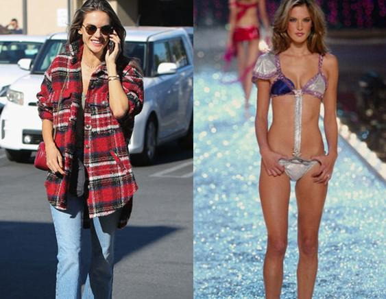 维多利亚的秘密玫瑰的资料【维多利亚的秘密玫瑰芳华】