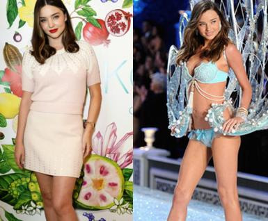 维多利亚的秘密玫瑰的资料【维多利亚的秘密玫瑰芳华】