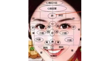 人体面部结构图侧面【人体面部结构图分布图】