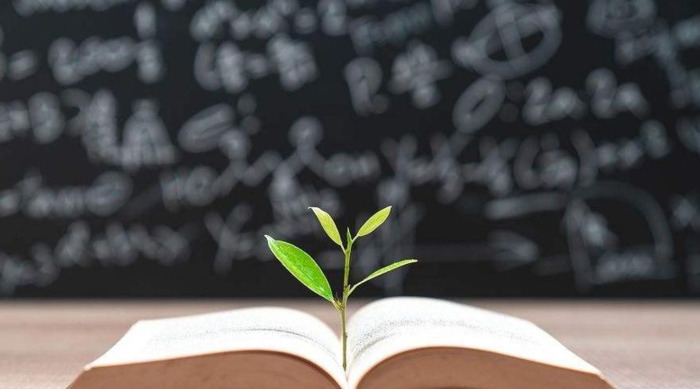 综合展示家长评语【综合展示厅,课外识字和大人一起读时】