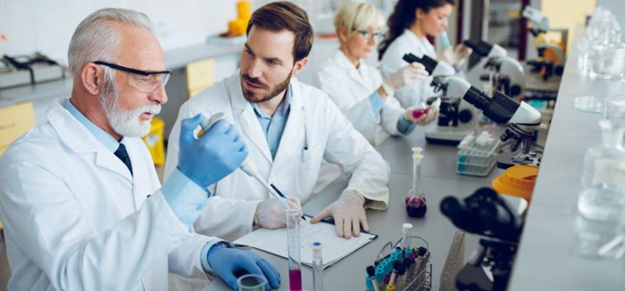 药学实训报告总结范文【药学毕业总结】