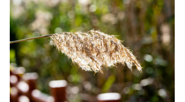 不理解你的人的句子说说【不理解你的人的句子文言文】