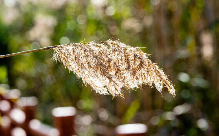 不理解你的人的句子说说【不理解你的人的句子文言文】