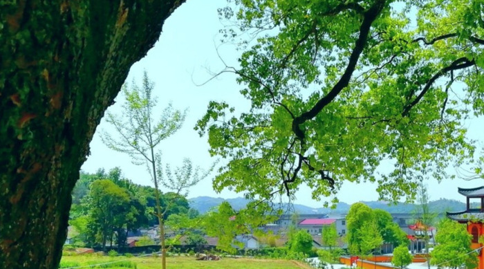 不理解你的人的句子说说【不理解你的人的句子文言文】