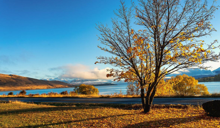 不理解你的人的句子说说【不理解你的人的句子文言文】