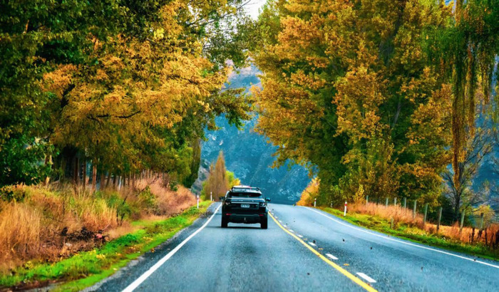 不理解你的人的句子说说【不理解你的人的句子文言文】