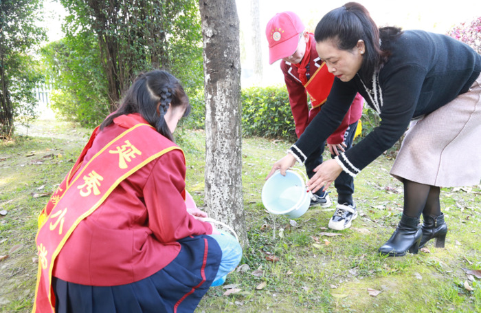 小树认养牌制作图片【种树认养牌】