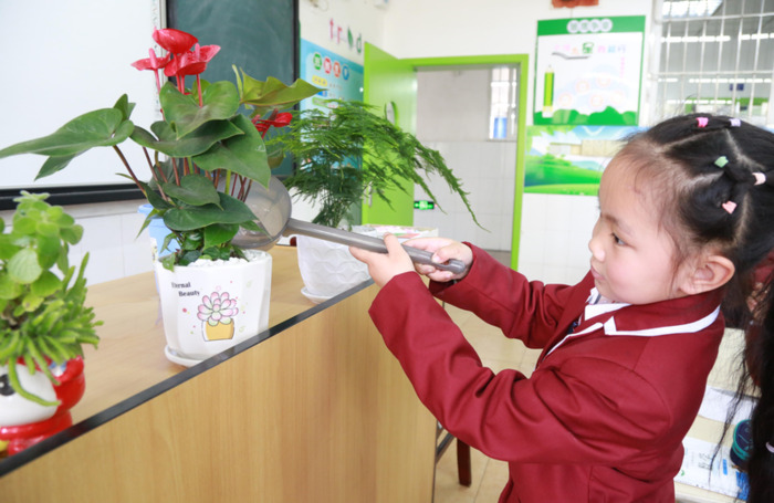 小树认养牌制作图片【种树认养牌】