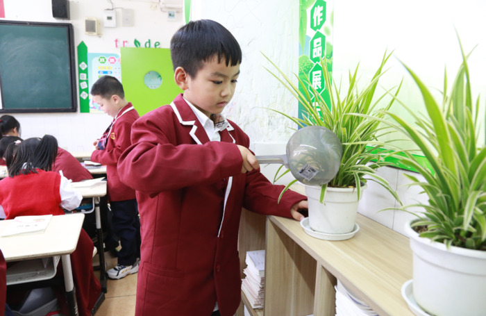 小树认养牌制作图片【种树认养牌】