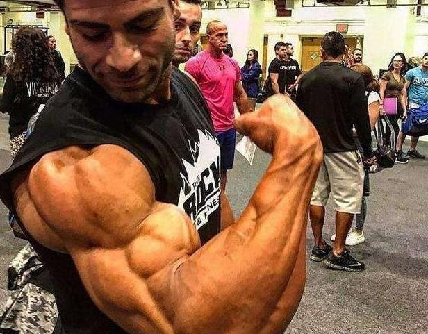 手臂肌肉图片大全图解【手臂肌肉图谱】