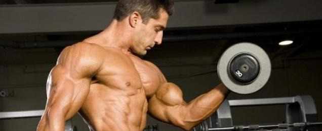 手臂肌肉图片大全图解【手臂肌肉图谱】