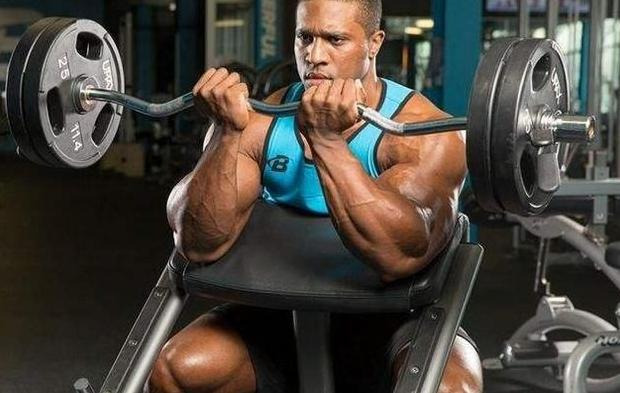 手臂肌肉图片大全图解【手臂肌肉图谱】