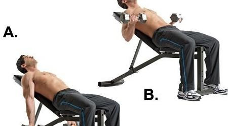 手臂肌肉图片大全图解【手臂肌肉图谱】