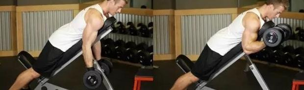 手臂肌肉图片大全图解【手臂肌肉图谱】