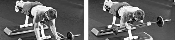 手臂肌肉图片大全图解【手臂肌肉图谱】