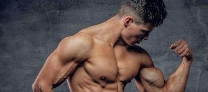 手臂肌肉图片大全图解【手臂肌肉图谱】