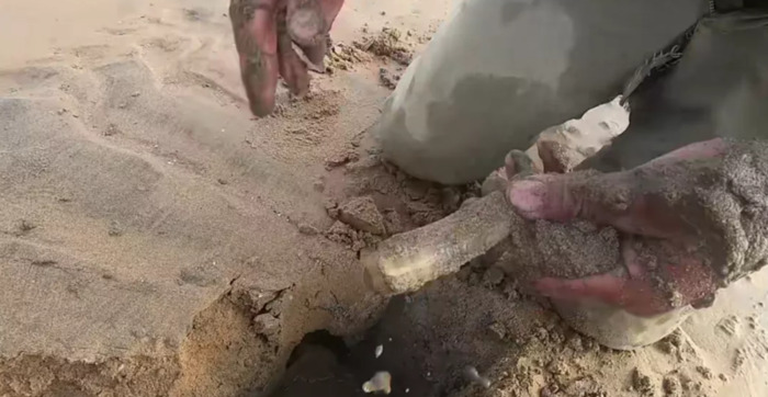 刘家湾赶海园什么时间去合适【刘家湾赶海最佳时间】