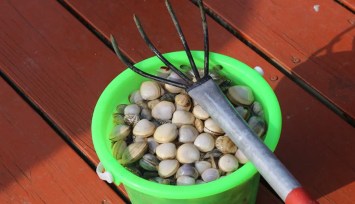 刘家湾赶海园什么时间去合适【刘家湾赶海最佳时间】