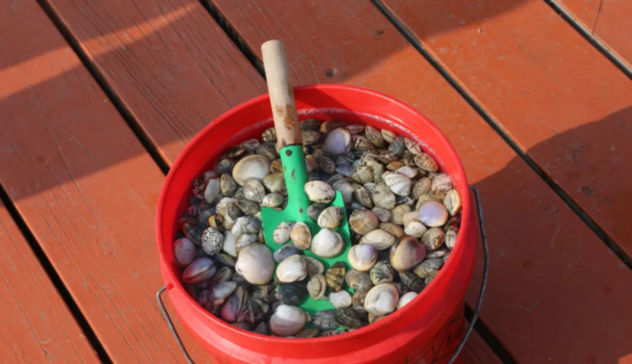 刘家湾赶海园什么时间去合适【刘家湾赶海最佳时间】