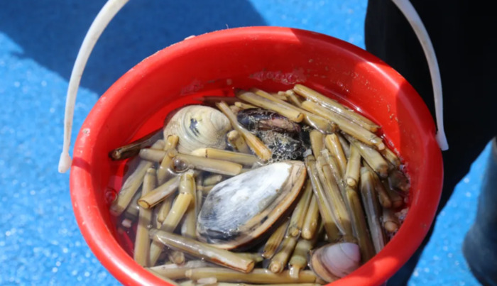 刘家湾赶海园什么时间去合适【刘家湾赶海最佳时间】